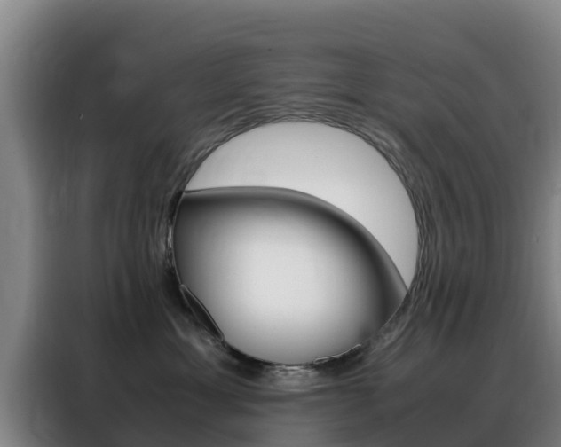 X0000088360429200705220736