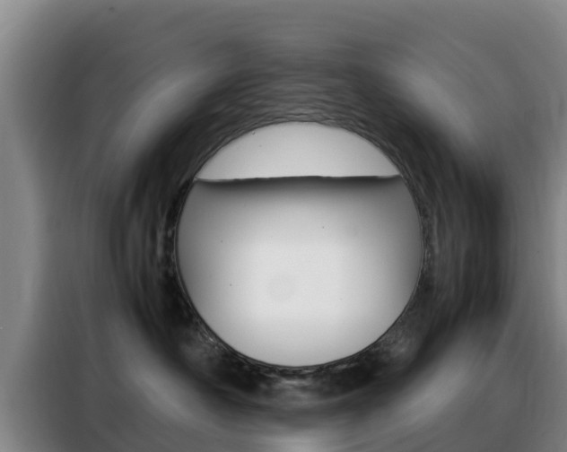 X0000088360430200705220736