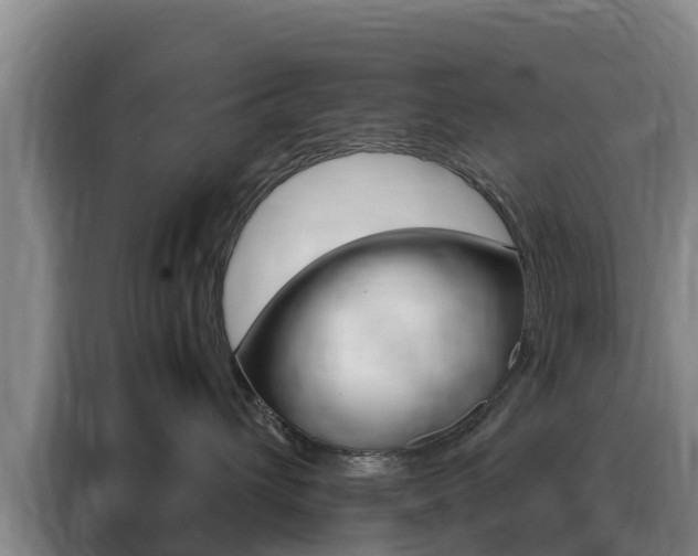 X0000088360432200705220736