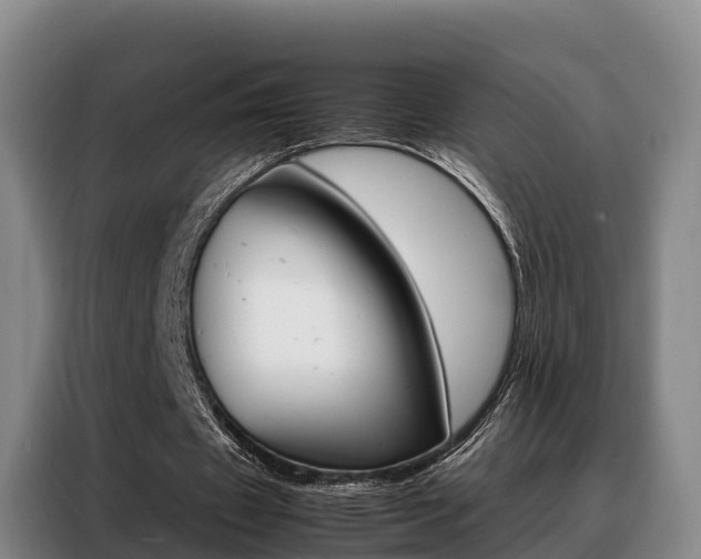 X0000088360433200705220736