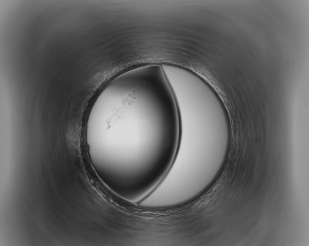 X0000088360434200705220736