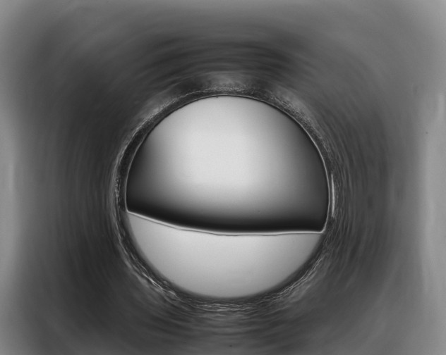 X0000088360435200705220736