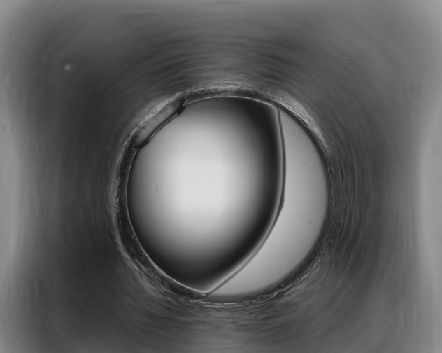 X0000088360436200705220736