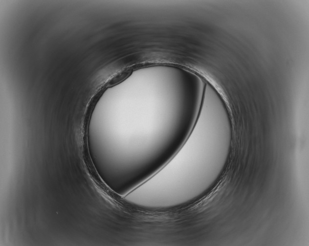 X0000088360437200705220736