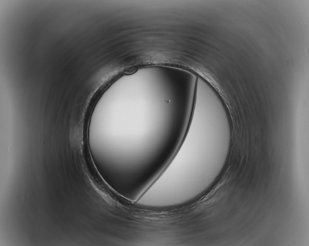 X0000088360438200705220736