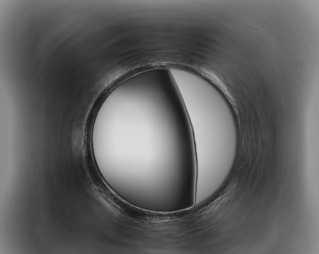 X0000088360439200705220736