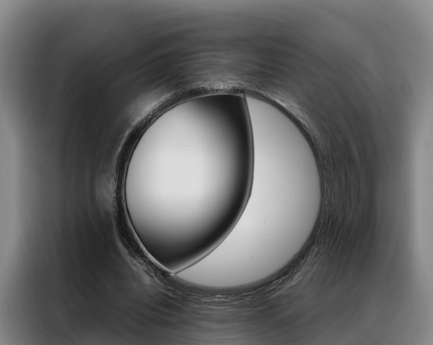 X0000088360440200705220736