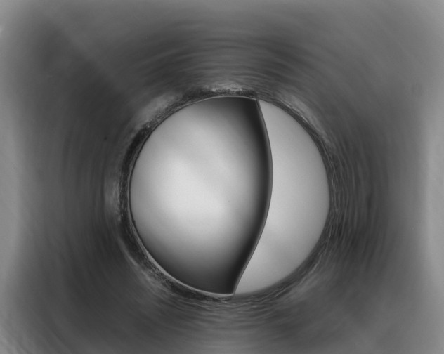 X0000088360444200705220736