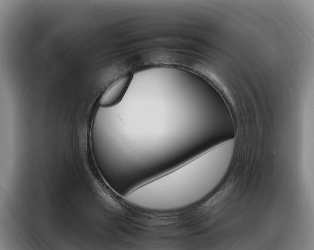 X0000088360445200705220736
