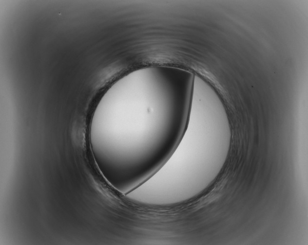 X0000088360446200705220736