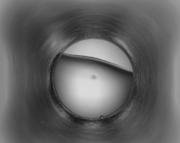X0000088360447200705220736