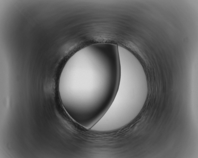 X0000088360448200705220736