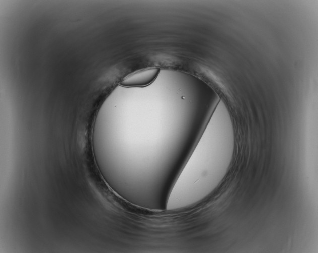 X0000088360451200705220736