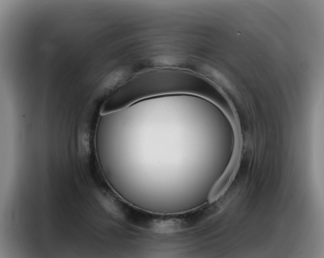 X0000088360452200705220736