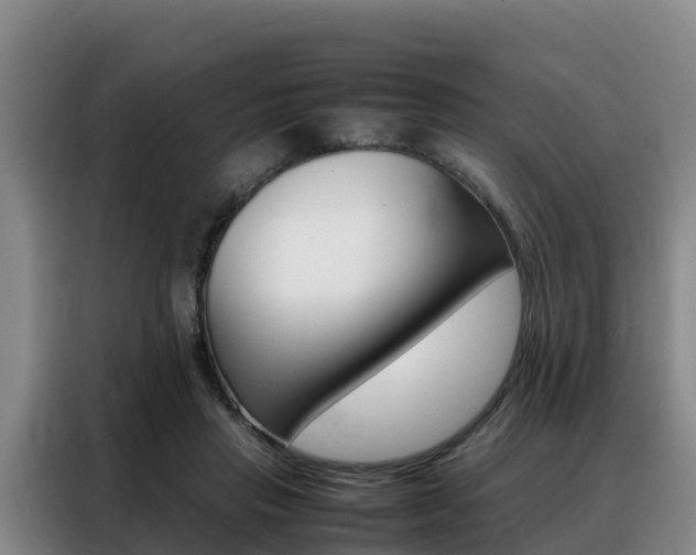 X0000088360453200705220736