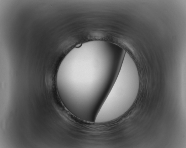 X0000088360455200705220736