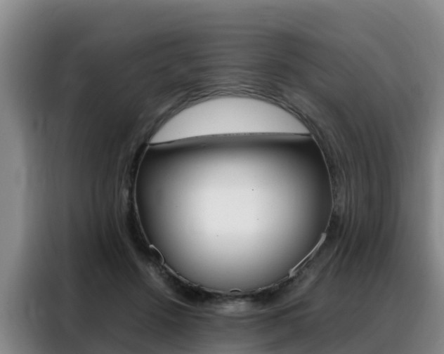 X0000088360456200705220736