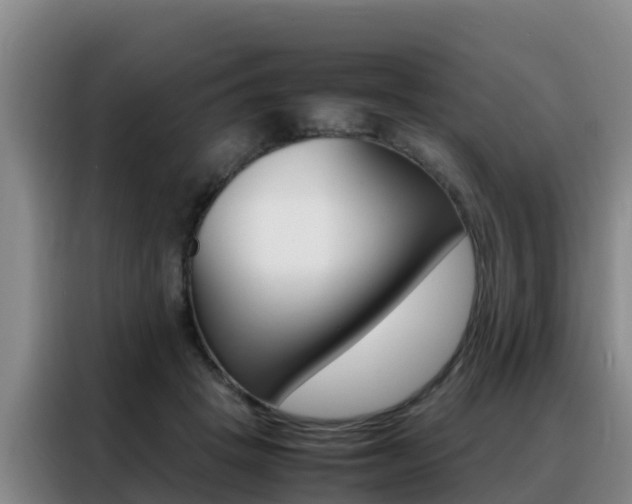 X0000088360457200705220736