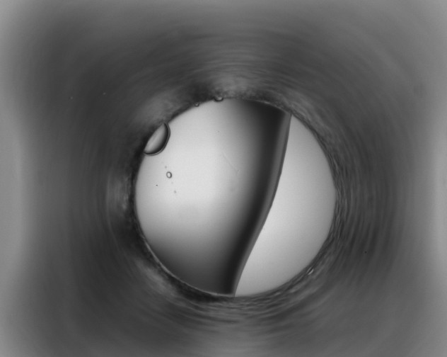 X0000088360458200705220736