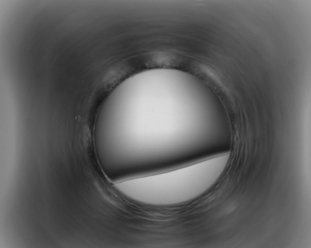 X0000088360459200705220736