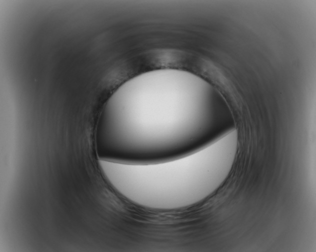 X0000088360461200705220736