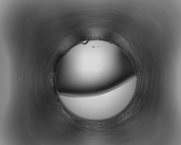 X0000088360462200705220736