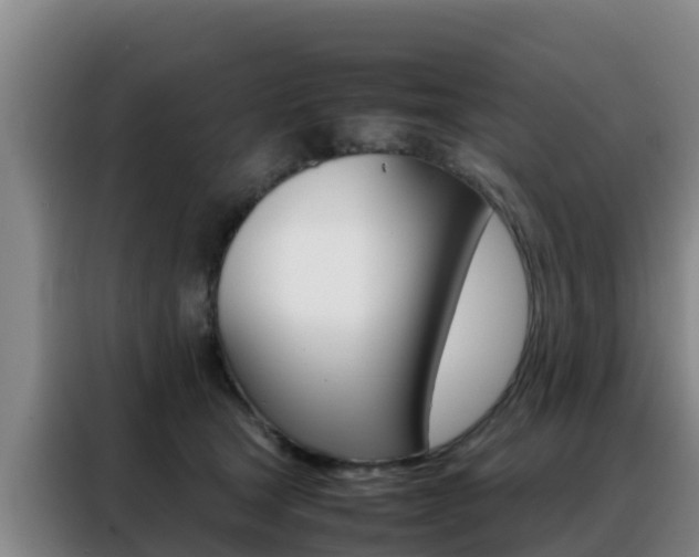 X0000088360465200705220736
