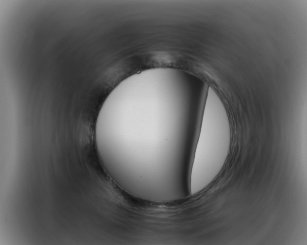 X0000088360467200705220736
