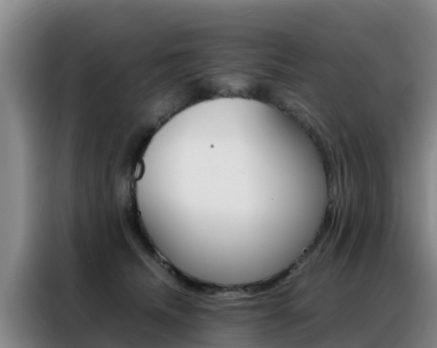X0000088360468200705220736