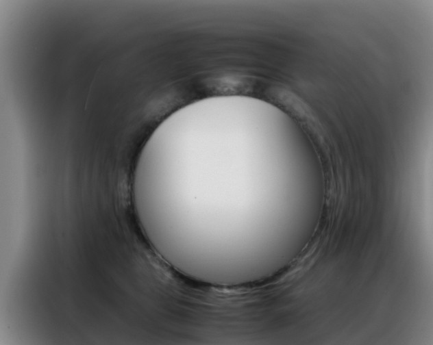 X0000088360469200705220736