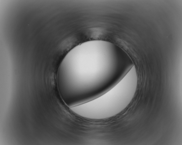 X0000088360470200705220736