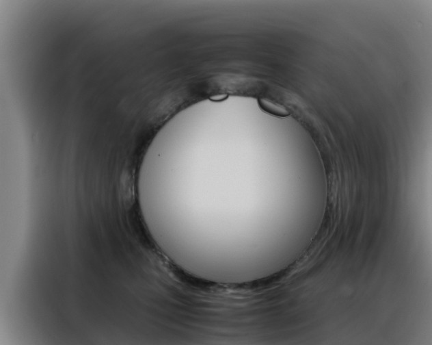 X0000088360471200705220736