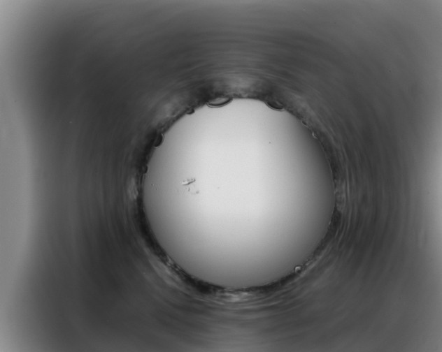 X0000088360472200705220736
