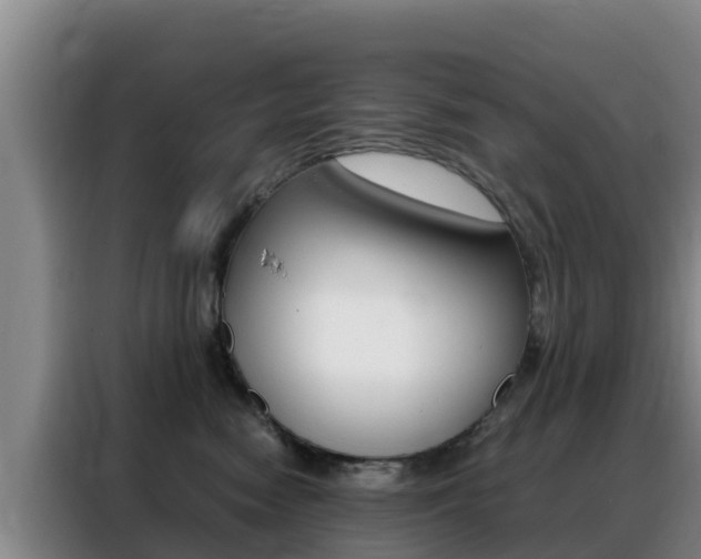 X0000088360474200705220736