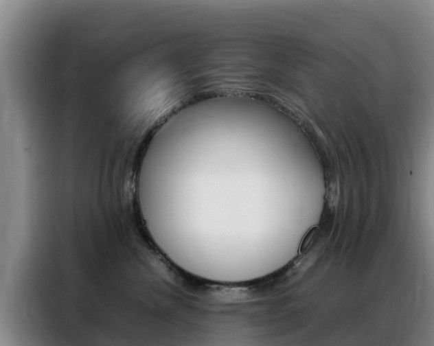 X0000088360476200705220736
