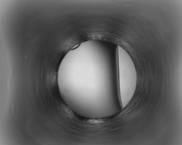 X0000088360477200705220736