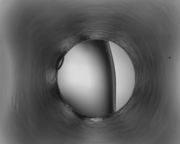 X0000088360478200705220736