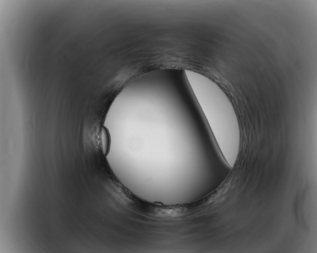 X0000088360479200705220736