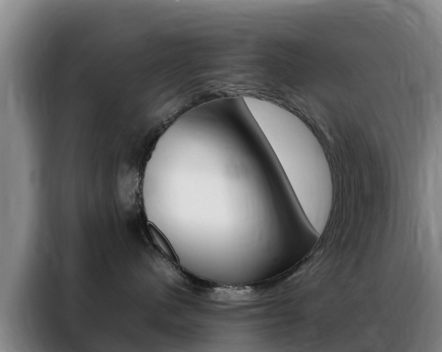 X0000088360480200705220736