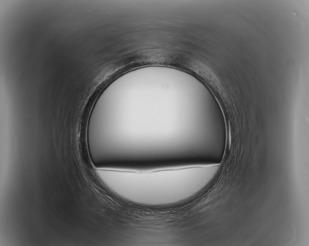 X0000088360483200705220736