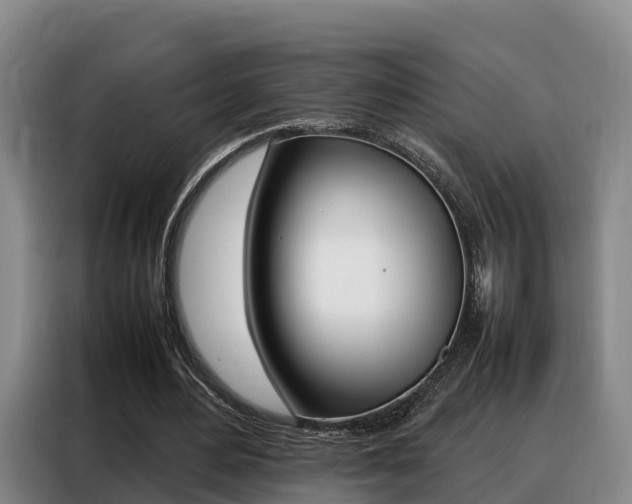 X0000088360484200705220736
