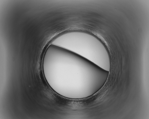 X0000088360487200705220736