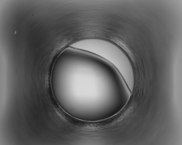 X0000088360489200705220736