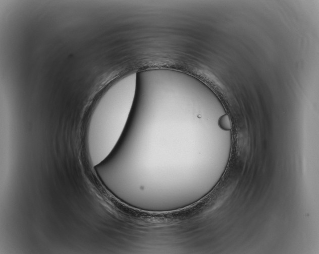 X0000088360490200705220736