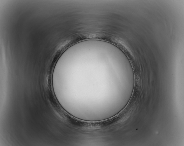 X0000088360491200705220736
