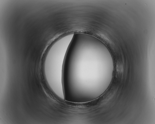 X0000088360492200705220736