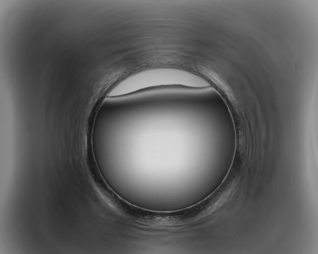 X0000088360493200705220736