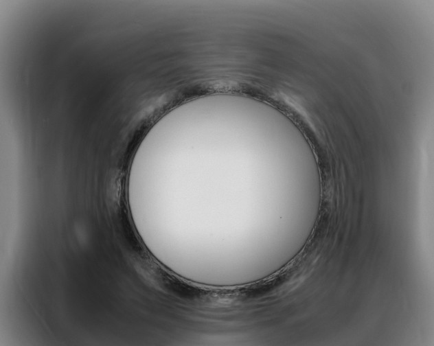 X0000088360495200705220736