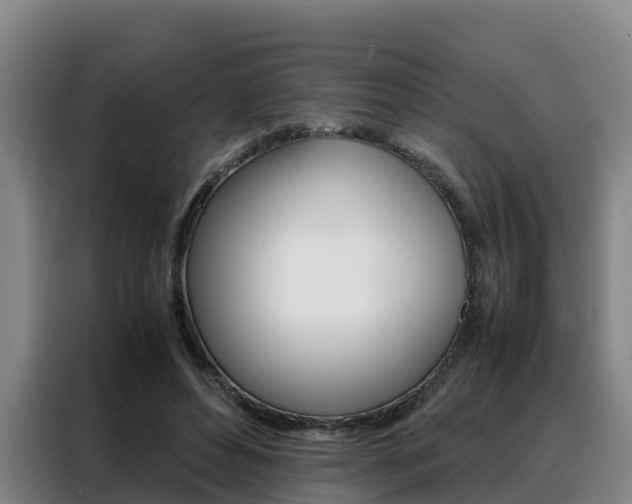 X0000088360496200705220736