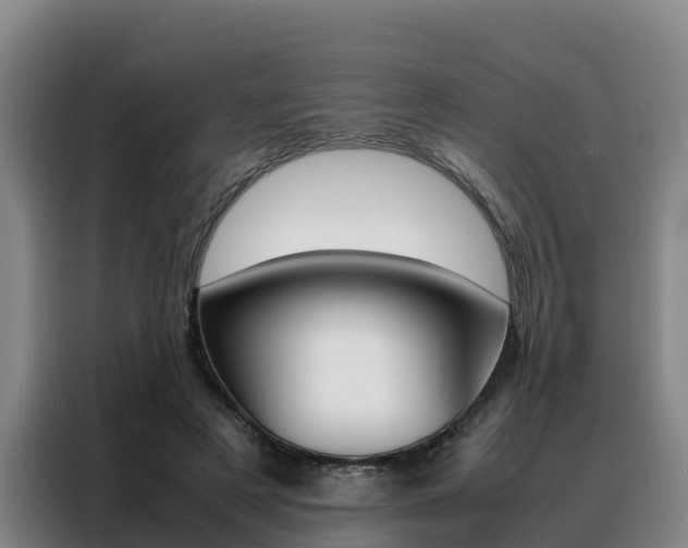 X0000088360497200705220736